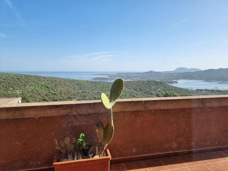 Vue Sur La Costa Smeralda *